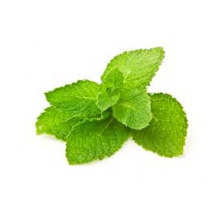 SPEARMINT | 30ml SALT NIC (10-50) mg (Phoenix) SPEARMINT | 30ml SALT NIC (10-50) mg (Phoenix)